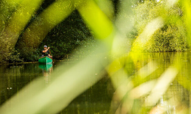 Silverbirch Canoes unites paddlers for a fun day on the Nene