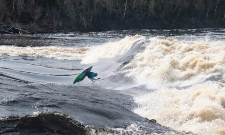 A chat with… Mike Shaw