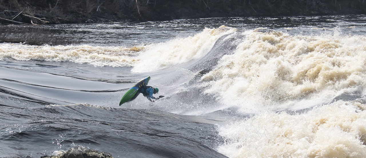 Cheese Wave. Canada Stakeout 2023