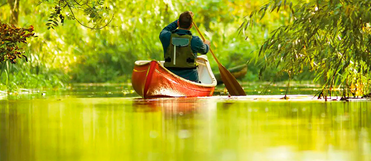 Silverbirch and hou canoes