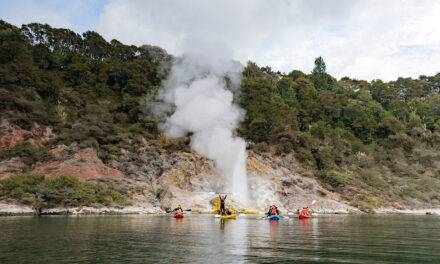 Discovering the wonders of the Rotorua region, New Zealand