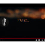 WILD SEA – Short Documentary