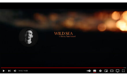 WILD SEA – Short Documentary