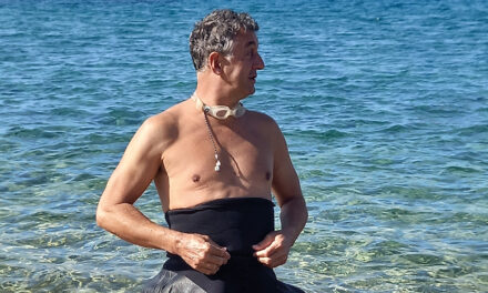 A chat with… Chris Reed