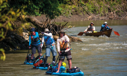 Amazon Challenge 2024