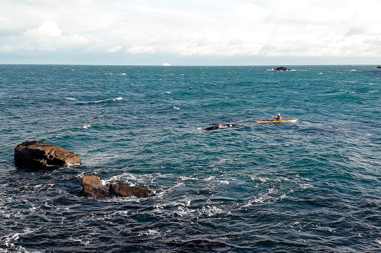 Sea kayak safety and rescue