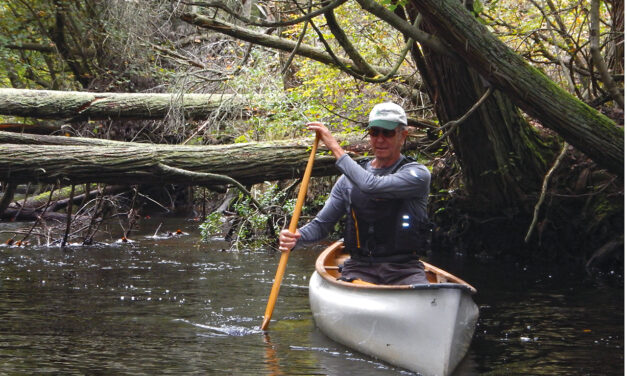 Sideslips to initiate freestyle manoeuvres
