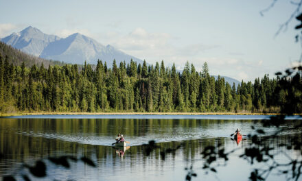 A Canadian odyssey