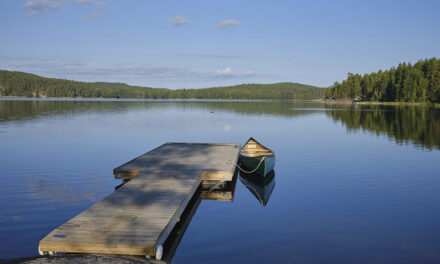 Paddles, pictographs & pride