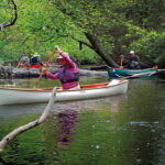 Tree dimensional canoeing