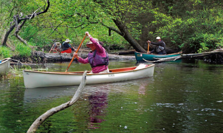 Tree dimensional canoeing