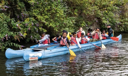 Paddler Spotlight: Birmingham