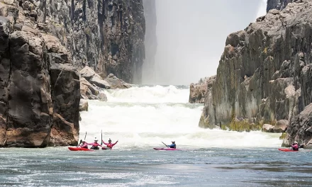 Exercise rapid Zambezi