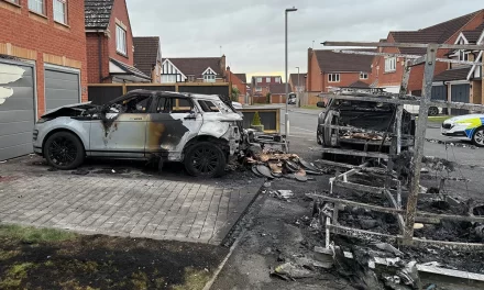 Down but (hopefully) not out!