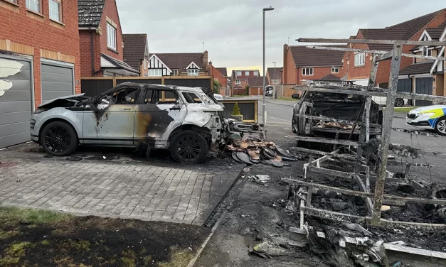 Down but (hopefully) not out!