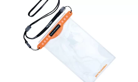 Palm Fidlock phone case review