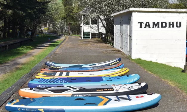 WW SUP – performance criteria comparison – June 2025 issue