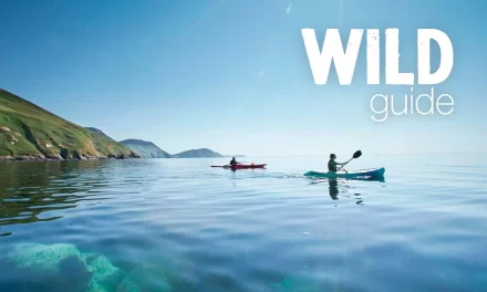 Wild Guide Isle of Man book – June 2025 issue