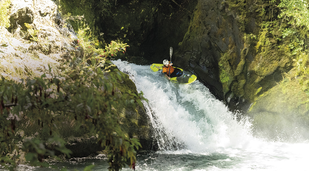 Sal Montgomery by Josh Telling