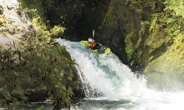 A chat with… Sal Montgomery – August 2025 issue