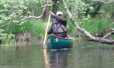 Momentum matters in FreeStyle canoeing – August 2025 issue