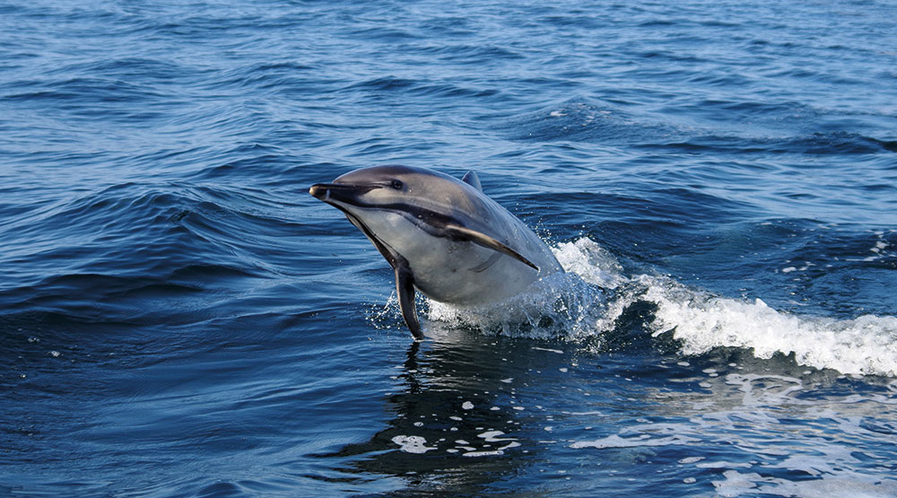 Downside Fisher Youth Club