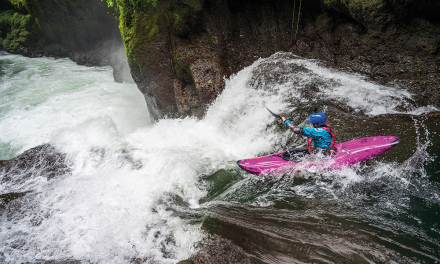 Goal setting for WW progression – October 2025 issue