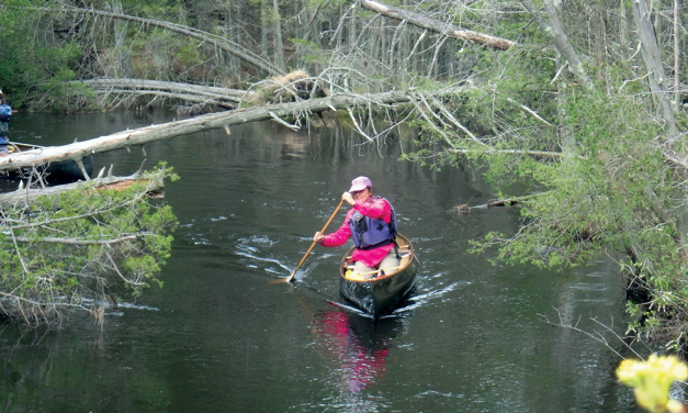 Functional vs interpretive FreeStyle canoeing – April 2026 issue