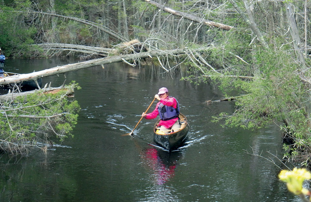 Functional vs interpretive FreeStyle canoeing