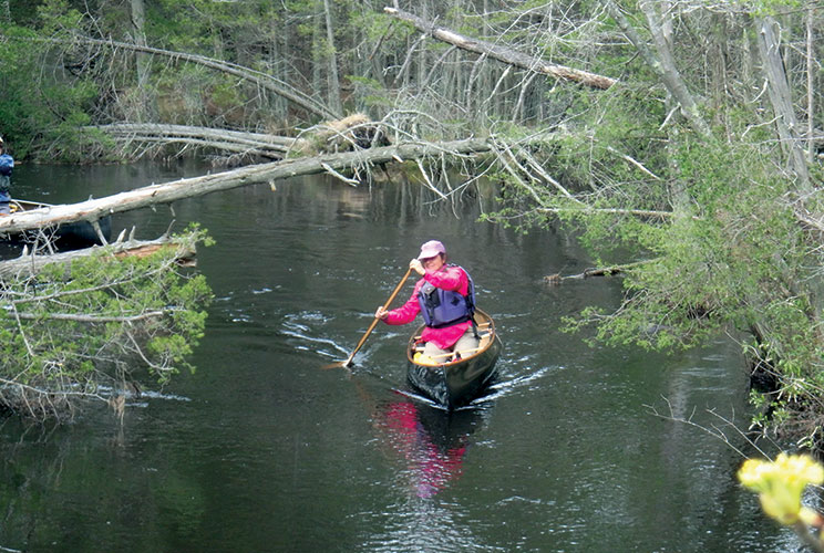 3. Functional Axel Solo