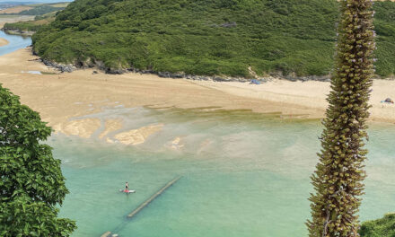 Five family summer paddles – August 2026 issue