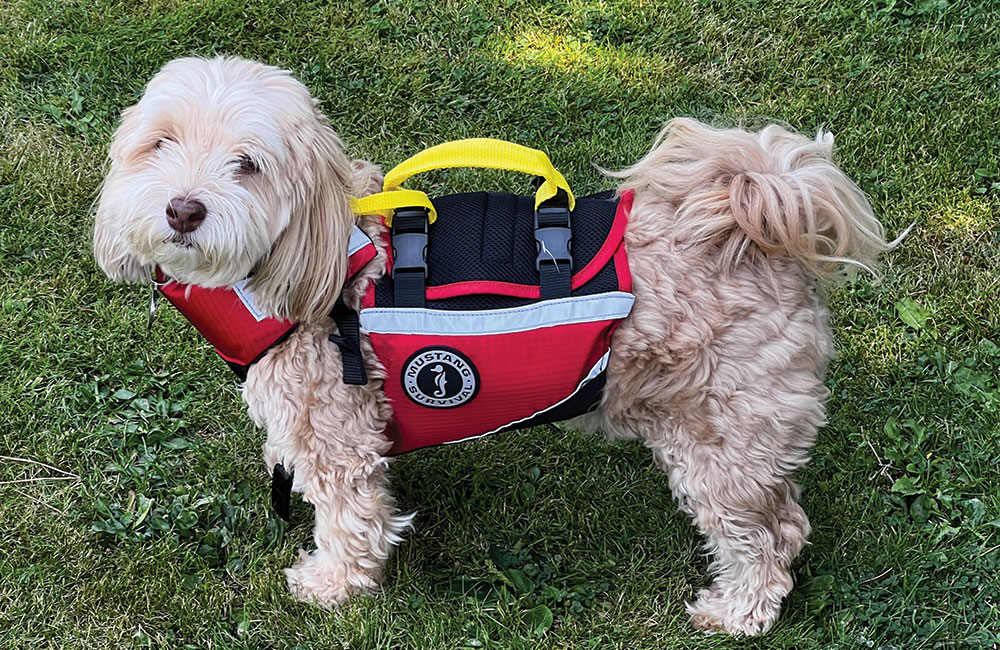 Mustang Survival Underdog Foam Flotation