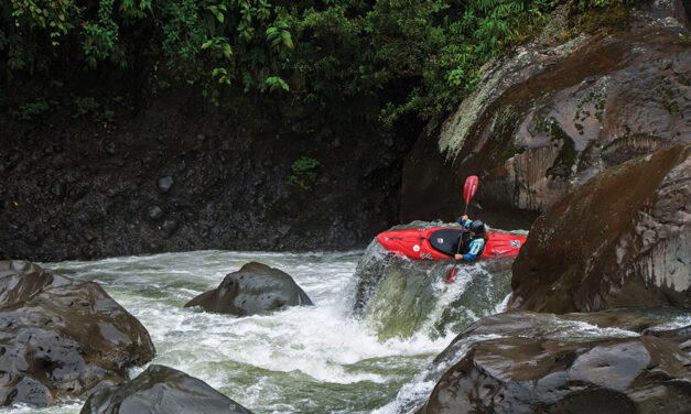 Lessons from the river 3 – August 2026 issue