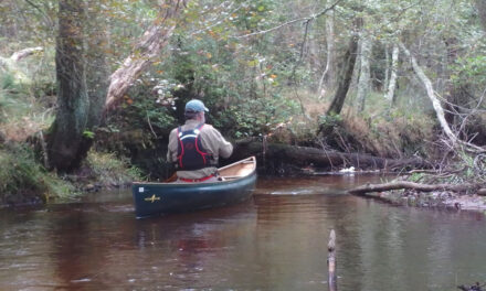 FreeStyle kept me paddling – August 2025 issue